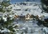Chalet Les Vigneaux - Grand Chalet for 16+ - 8 Chambres - Bar - Puy-Saint-Vincent / Serre Chevalier / Pelvoux-Vallouise