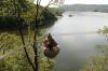 Village de 10 chalets individuels en Auvergne entre Super Besse et Bort les Orgues