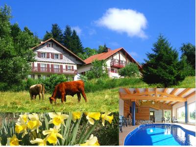 Chalet Aux Gémeaux à Gérardmer